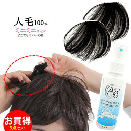 ヘアピース 人毛100％ 総手植え 円形脱毛症 部分ウィッグ ポイントウィッグ 増毛 送料無料 つむじカバー kz1