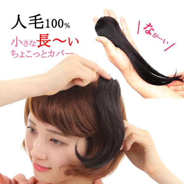 ウィッグ ヘアピース 人毛100％ 半手