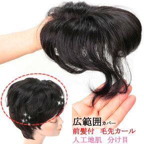 ヘアピース 前髪ウィッグ かつら 部分ウィッグ ポイントウィッグ 増毛 人気 分け目 つむじカバー薄毛隠し 女性 tk38