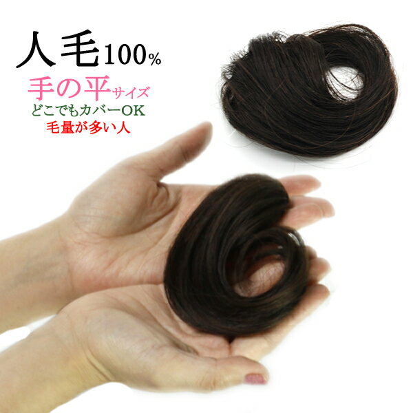 ヘアピース 薄毛隠し 女性 円形脱毛症 部分ウィッグ ポイントウィッグ 増毛 つむじカバー ミニサイズ 人毛100% tk9