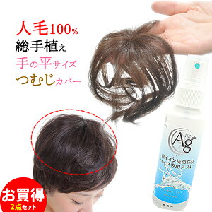 ウィッグ ヘアピース かつら 人毛100％ 部分ウィッグ ポイントウィッグ 増毛 総手植え つむじカバー ケアスプレー ナノスプレー tp185hhnanoset