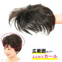 部分 ウィッグ ミセス 自然 薄毛 脱毛症 白髪隠し 増毛 分け目 つむじ ヘアピース 女性用 かつら 脱毛 リアル スキン デイリートップウィッグ 薄毛隠し ...