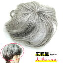 ウィッグ 白髪 薄毛隠し 女性 人毛 しらが 円形脱毛症 部分ウィッグ ポイントウィッグ 増毛 人気 つむじカバー ストレート グレーヘアー 人毛ミックス 90...