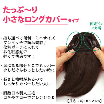 前髪ウィッグ ウィッグ 部分ウィッグ 前髪 ヘアピース ストレート かつら ポイントウィッグ つむじカバー 円形脱毛症 f5msize