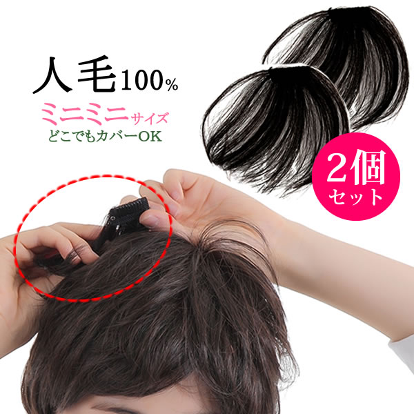 ウィッグ ヘアピース 人毛100％ 総手