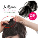 ウィッグ ヘアピース 人毛100% 総手植え 円形脱毛症 部分ウィッグ ポイントウィッグ 増毛 送料無料 つむじカバー kz1