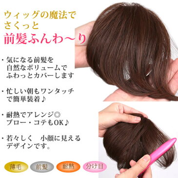 前髪 ウィッグ ヘアピース 耐熱 自然 かつら 部分ウィッグ ポイントウィッグ つむじ カバー 人気 lw08