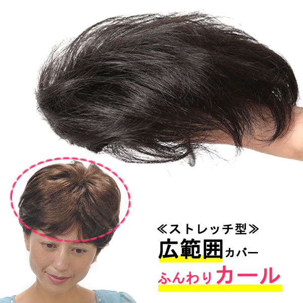 部分 ウィッグ ミセス 自然 薄毛 脱毛症 白髪隠し 増毛 分け目 つむじ ヘアピース 女性用 かつら 脱毛 リアル スキン デイリートップウ..