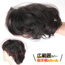 部分 ウィッグ ミセス 自然 薄毛 脱毛症 白髪隠し 増毛 分け目 つむじ ヘアピース 女性用 かつら 脱毛 リアル スキン デイリートップウィッグ 薄毛隠し ...