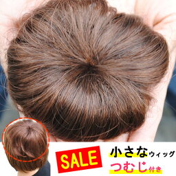 ヘアピース 円形脱毛症 部分ウィッグ ポイントウィッグ 増毛 人気 つむじカバー 女性 ミセス 薄毛隠し 男女兼用 女性 男性 メンズ tk70