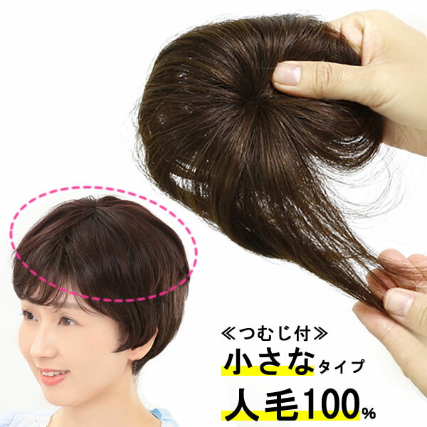 ウィッグ 部分ウィッグ ヘアピース 人毛100％ 円形脱毛症 ポイントウィッグ 増毛 人気 つむじカバー ストレート 薄毛隠し 抗がん剤治療 医療用 ナチュラルストレート 5009a