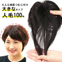 ヘアピース 人毛100% 円形脱毛症 部分ウィッグ ポイントウィッグ 増毛 人気 つむじカバー ストレート白髪 9008a