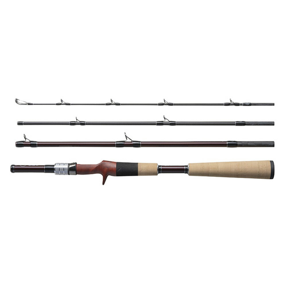 フィッシュマン BC4 5.10H ビー・シー・フォー 5.10H【Fishman】