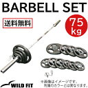 【パッドプレゼント】 スプリングカラー/ベアリングタイプ オリンピック バーベルセット 75kg ラバー筋トレ セット トレーニング 鉄アレイ ベンチプレス セット ウエイト プレート シャフト トレーニング WILD FIT ワイルドフィット