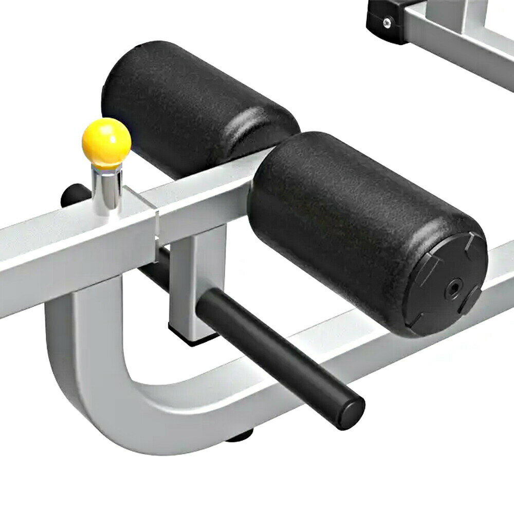 WILD FIT(ワイルドフィット) アブバックマシン 【impulse/インパルス】送料無料 ジム 業務用 トレーニングマシン トレーニングベンチ フィットネス 腹筋 自宅