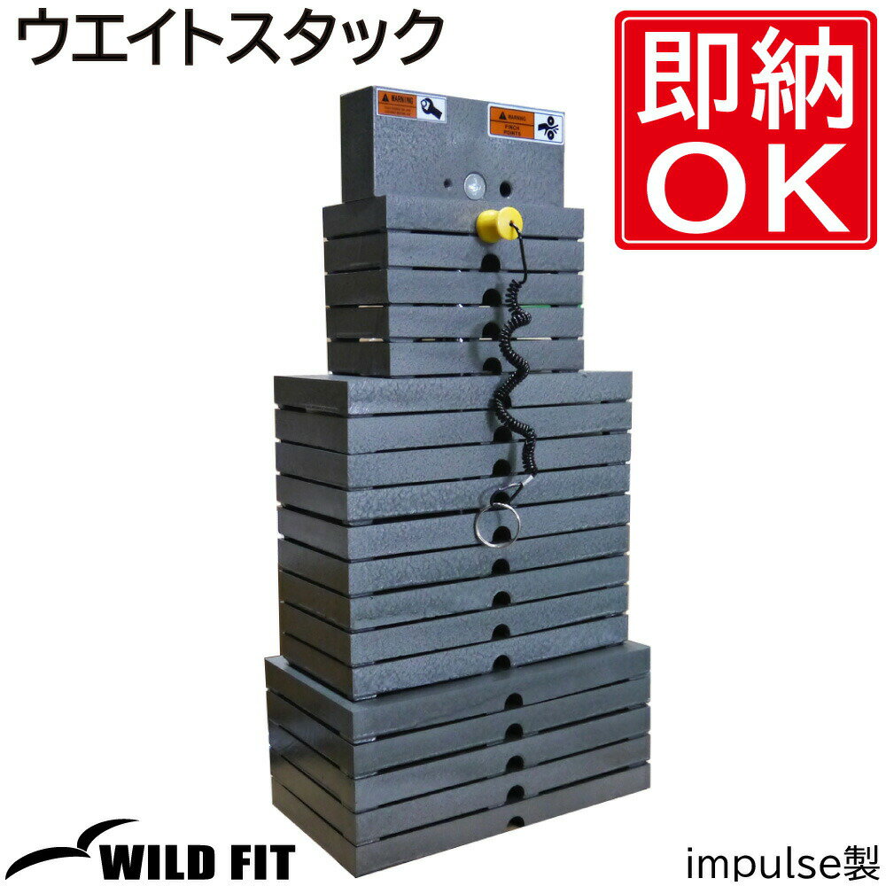 ウエイトスタック (200ポンド) [impulse/インパルス]ジム トレーニングマシン 業務用 送料無料 [WILD FIT ワイルドフィット]