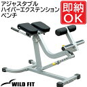 アジャスタブルハイパーエクステンションベンチ 【impulse/インパルス】送料無料 ジム 業務用 トレーニングマシン トレーニングベンチ 自宅 [WILD F...