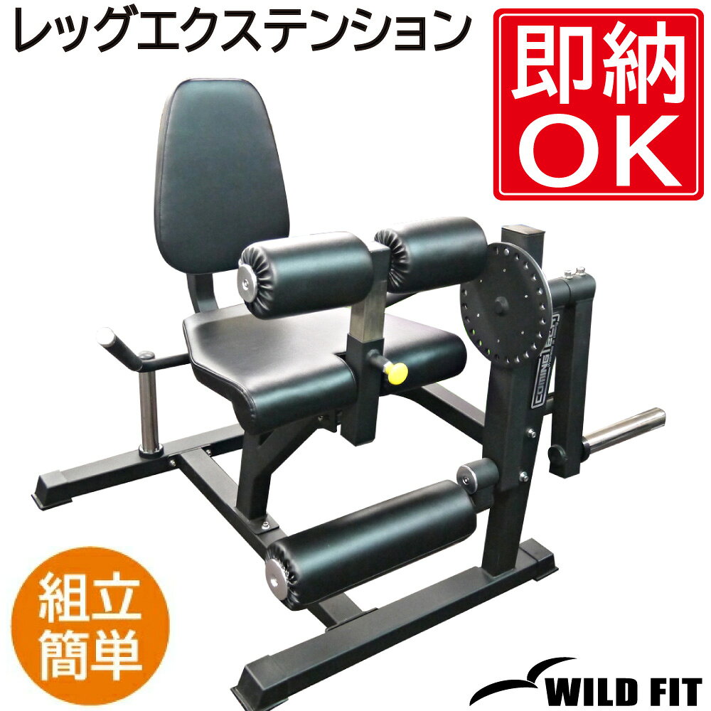 レッグエクステンション / カール (Φ50)送料無料 業務用 ジム パーソナル 施設 レッグカール ...