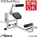 アブバックマシン 【impulse/インパルス】送料無料 ジム 業務用 トレーニングマシン トレーニングベンチ フィットネス 腹筋 自宅 [WILD FIT ワ...