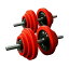 ֡410ͽ֥С٥륻å 40kg Ҽ20kg2ĥåȡ̵ ڥȥ ٥ 2ĥå 20kg ȥ졼˥ Ŵ쥤 Ѽ æ弰 å [WILD FIT 磻ɥեå]פ򸫤