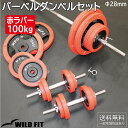 ԃo[o[x_xZbg 100kg ؃g _x o[x EGCg g[jO x`vX tBbglX [WILD FIT ChtBbg]