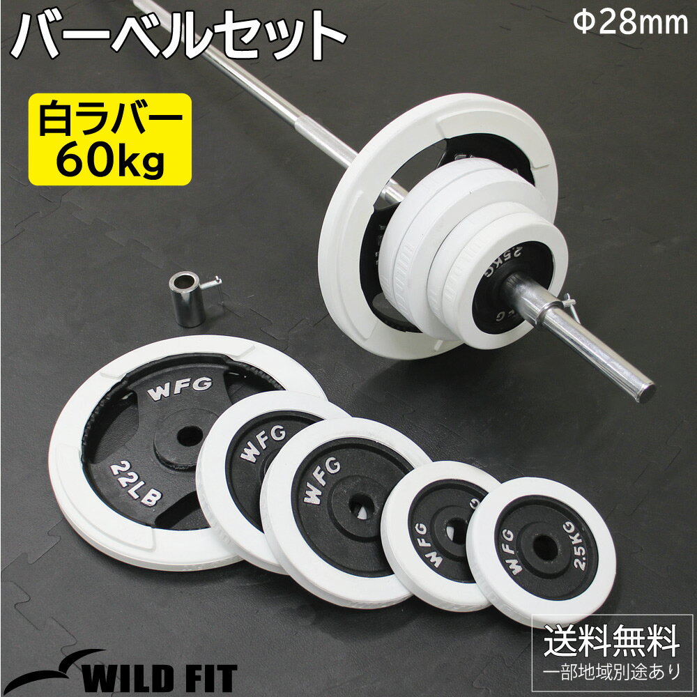 白ラバーバーベルセット 60kg送料無料 筋トレ バーベル ウエイト トレーニング ベンチプレス WILD FIT ワイルドフィット