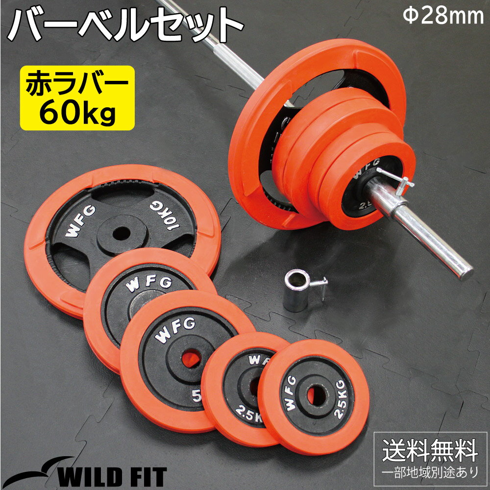 赤ラバーバーベルセット 60kg送料無料 筋トレ バーベル ウエイト プレート シャフト トレーニング ベンチプレス WILD FIT ワイルドフィット