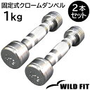 固定式クローム 1kg 2本セット送料無料 ダンベル 筋トレ トレーニング ベンチプレス ジム 鉄アレイ [WILD FIT ワイルドフィット]