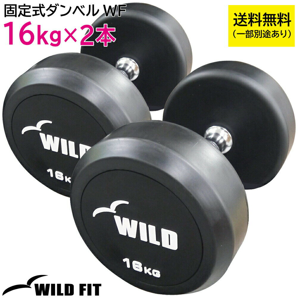 꼰٥ 16kg WF 2ܥå̵ ٥ ȥ ڥȥ ȥ졼˥ ʢ Ŵ쥤 [WILD FIT 磻ɥեå]