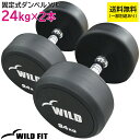 固定式ダンベル 24kg WF 2本セット送料無料 ジム ダンベル セット 筋トレ 2個セット トレーニング ホームジム ジム 鉄アレイ [WILD FIT ワイルドフィット]