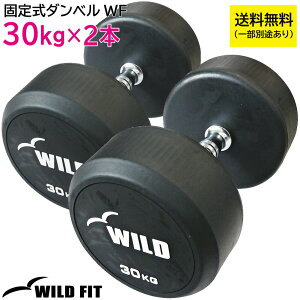 꼰٥ 30kg WF 2ܥå̵ ٥ å ڥȥ 2ĥå ȥ졼˥ ٥ץ쥹  Ŵ쥤 [WILD FIT 磻ɥեå]