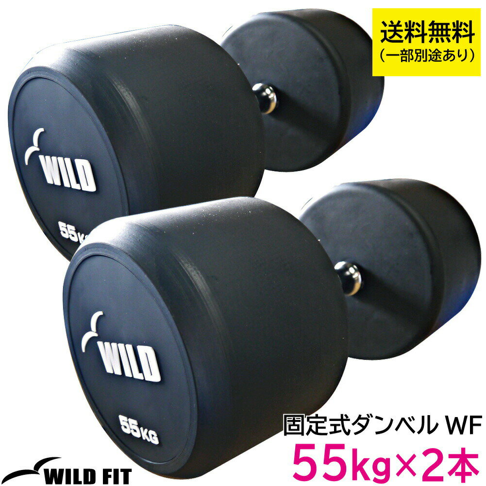 固定式 ダンベル 55kg WF 2本セット 【代金引換不可】送料無料 ダンベル セット 筋トレ ラバー 2個セット トレーニング 腹筋 背筋 ベンチプレス ジ...