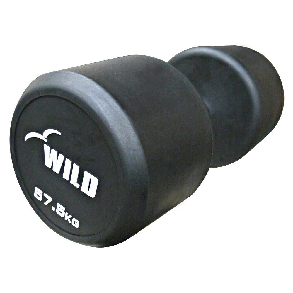 ���꼰 ����٥� 57.5kg WF 2�ܥ��å� ���������Բġ�����̵�� ����٥� ���å� ��С� �ڥȥ� 2�ĥ��å� �ȥ졼�˥� �٥���ץ쥹 ���� Ŵ���쥤 [WILD FIT �磻��ɥե��å�]