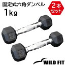 固定式六角ダンベル 1kg 2本セット送料無料 ダンベル バーベル セット 筋トレ　トレーニング 自宅 ジム [WILD FIT ワイルドフィット]