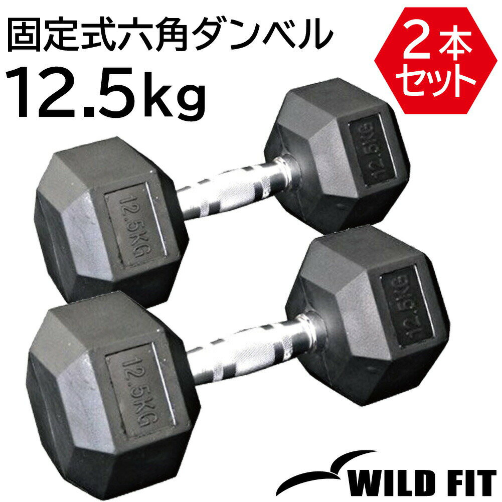 꼰ϻѥ٥ 12.5kg 2ܥå̵ ٥ إå٥ ڥȥ졡ȥ졼˥ HEX ϻ ٥ץ쥹  [WILD FIT 磻ɥեå]