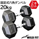 固定式六角ダンベル 20kg 2本セット送料無料 ダンベル ヘックスダンベル 筋トレ　トレーニング HEX 六角 ベンチプレス ジム [WILD FIT ワイルドフィット]