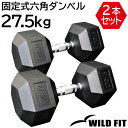 固定式六角ダンベル 27.5kg 2本セット送料無料 ダンベル ヘックスダンベル 筋トレ　トレーニング HEX 六角 ベンチプレス ジム [WILD FIT ワイルドフィット]