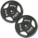 アイアン レギュラー プレート 20kg (2枚)《返品・交換不可》ダンベル バーベル ウエイト 筋トレ トレーニング ベンチプレス [WILD FIT ワイル...