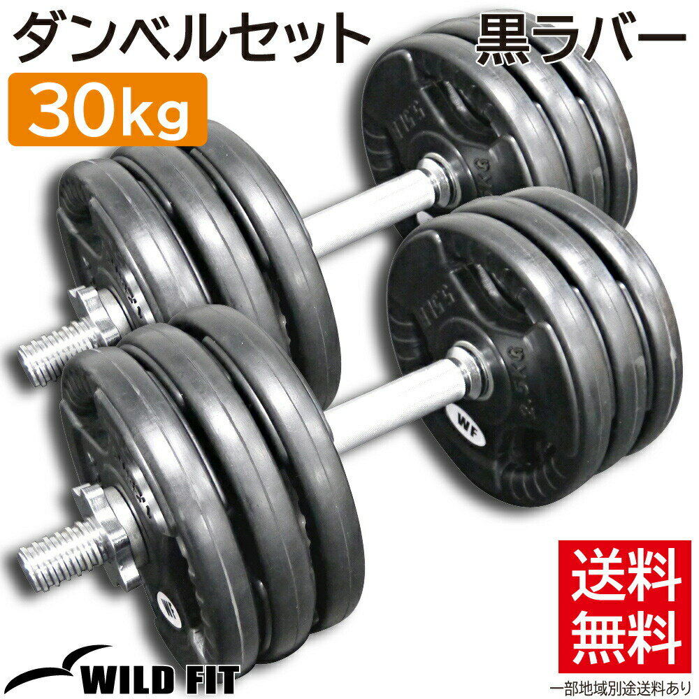 С٥륻å 30kg̵ ڥȥ ٥ Ѽ æ 2ĥå å ȥ졼˥ Ŵ쥤 [WILD FIT 磻ɥեå]