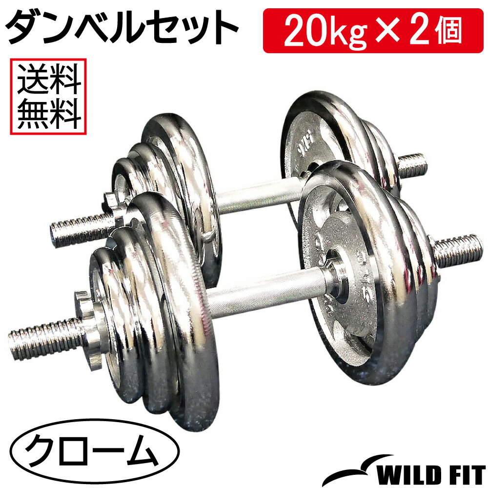 ٥륻å 40kg̵ Ѽ ٥ ץ쥹٥ ڥ æ弰 ڥȥ 2ĥå 20kg å ٥ ȥ졼˥󥰴 [WILD FIT 磻ɥեå]