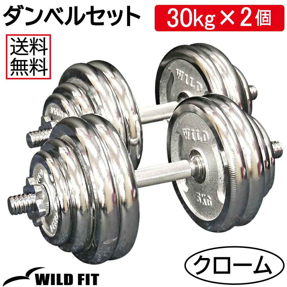 ֥٥륻å 60kg̵ æ弰 Ѽ ڥȥ 2ĥå å ٥ ȥ졼˥󥰴 ץ쥹٥ [WILD FIT 磻ɥեå]פ򸫤