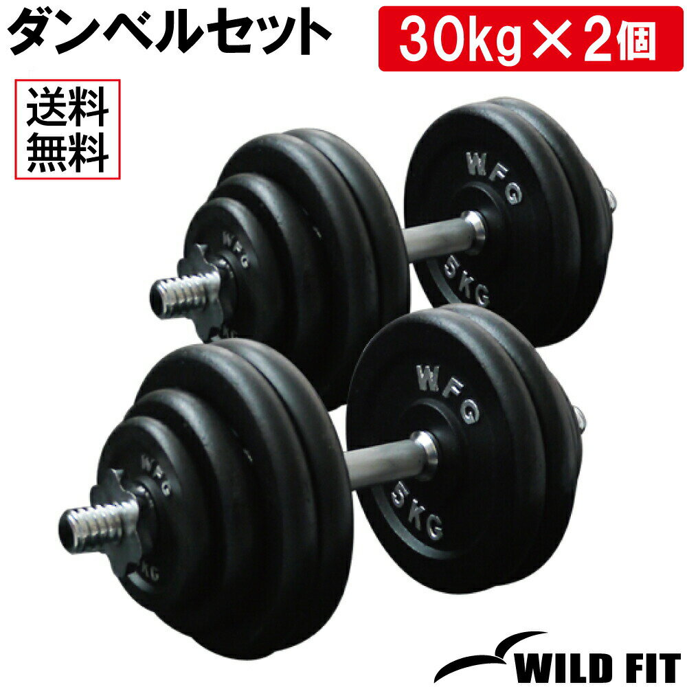  ٥ å 60kg̵ ڥȥ ȥ졼˥󥰴 Ѽ æ弰 ȥ졼˥ Ŵ쥤 30kg 2ĥå å [WILD FIT 磻ɥեå]