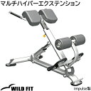 マルチハイパーエクステンション impulse/インパルス ジム 業務用 トレーニングマシン トレーニングベンチ 送料無料 WILD FIT ワイルドフィット