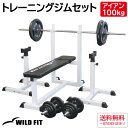 トレーニングジムセット アイアン 100kg送料無料 ホームジム ベンチプレス トレーニング器具 自宅 バーベル 腹筋 WILD FIT ワイルドフィット