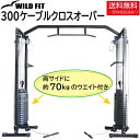 300ケーブルクロスオーバー (※代金引換不可)送料無料 ホームジム トレーニング 懸垂 大胸筋 ケーブルクロスオーバー 自宅 ジム パーソナル 筋トレ [WI...