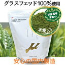 μ-up ホエイプロテイン 100 WPC 抹茶風味 (米麹入り) 1kg抹茶 美味しい グラスフェッド ダイエット プロテイン サプリメント 筋トレ トレーニング 筋肉 人気 WILD FIT ワイルドフィット