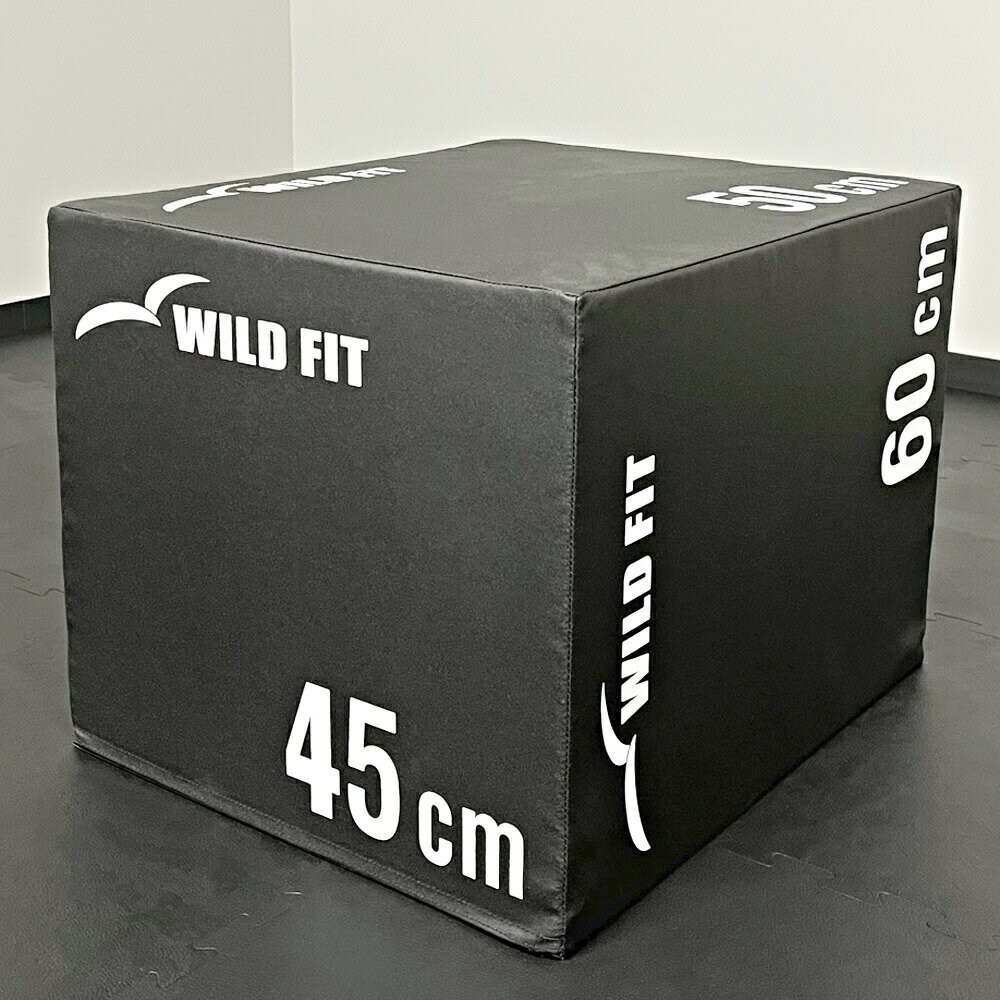 ソフトプライオボックス レギュラー送料無料 ジャンプボックス 瞬発力 トレーニン...