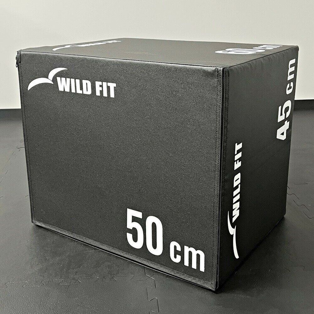 ���եȥץ饤���ܥå��� �쥮��顼����̵�� �����ץܥå��� ��ȯ�� �ȥ졼�˥� �δ� ������ ������ [WILD FIT �磻��ɥե��å�]