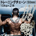 WILD FIT(ワイルドフィット) トレーニングチェーン Φ50mm用 (10kg×2本)送料無料 ジムチェーン パワーストレングス ベンチプレス