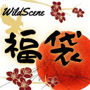 【送料無料 】【お一人様2点まで 】Wild Scene 福袋メタルジグ マイクロジグ アソート3g 5g 10g 15g 18g 20g 22g 24g 30g 40g青物 シーバス ロックフィッシュ ヒラメ マダイ 真鯛 タチウオジグ 釣り用品 釣り具 釣具 釣り